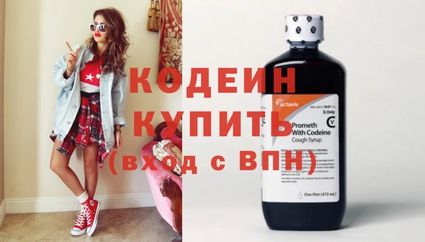 шишки Тавда